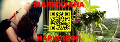 индика Нягань