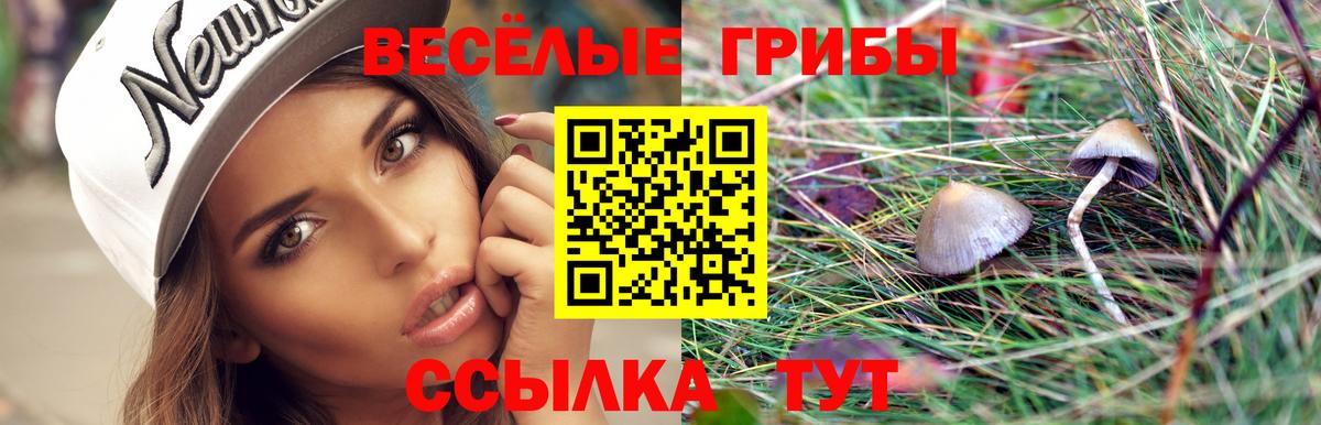 Галлюциногенные грибы мицелий  Вход с VPN  Ярцево  Псилоцибиновые грибы MAGIC MUSHROOMS 